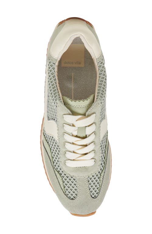 Dolce Vita B.ntcd Mesh Sneaker In Sage Nylon