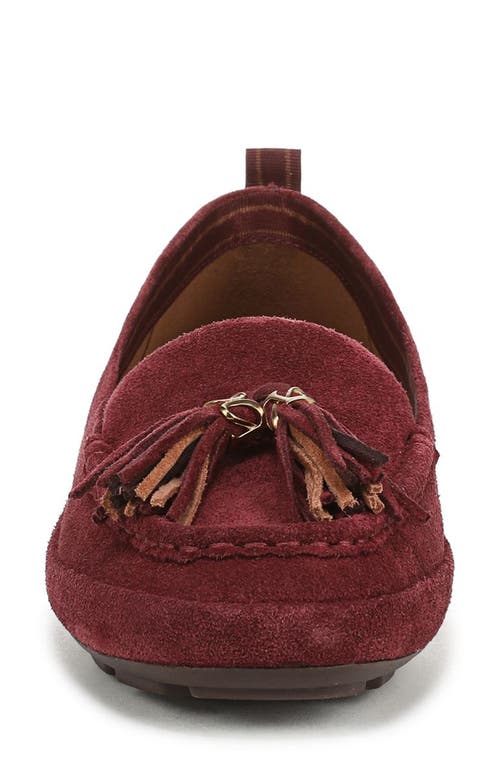 Naturalizer Betsy Tassel Moc Toe Loafer In Brown