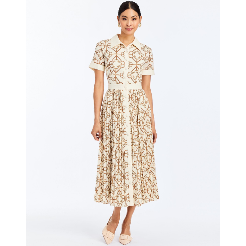 Mestiza New York Billie Collared Shirt Dress In Brown