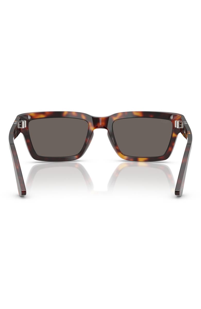 Persol 55mm Rectangular Sunglasses, Alternate, color, Havana