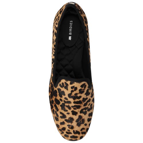 Birdies The Starling 20 Loafers In Brown