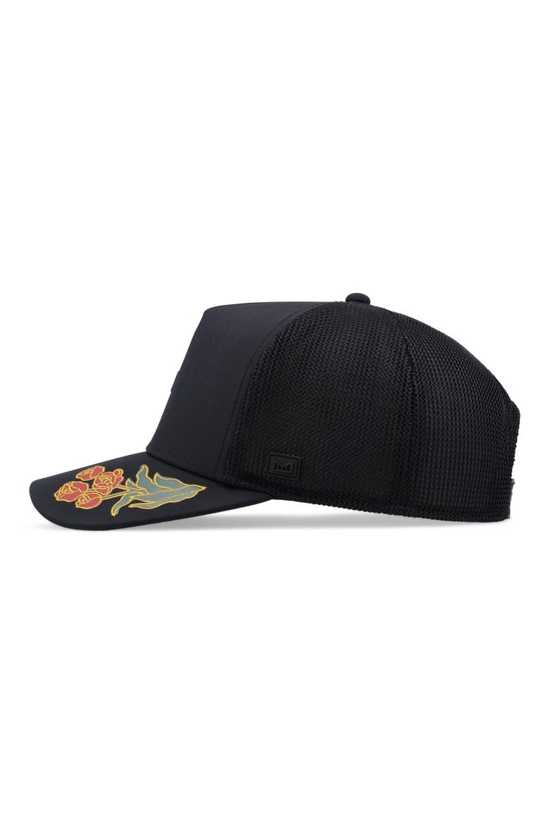 Odysea Hydro Hoedown Snapback Ball Cap, Alternate, color, BLACK