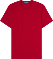 Robert Talbott Stretch Jersey Dean Tee