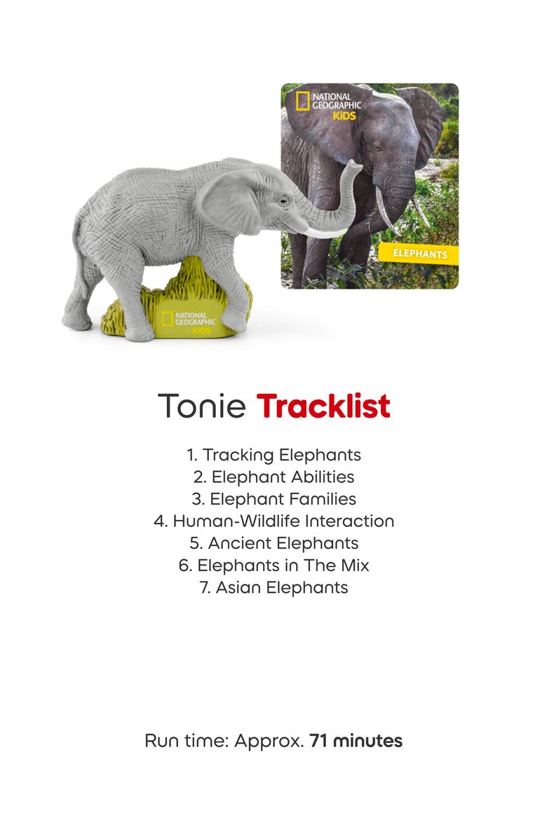 National Geographic Safari Elephant & Parrot Audio Character Bundle, Alternate, color, MULTI