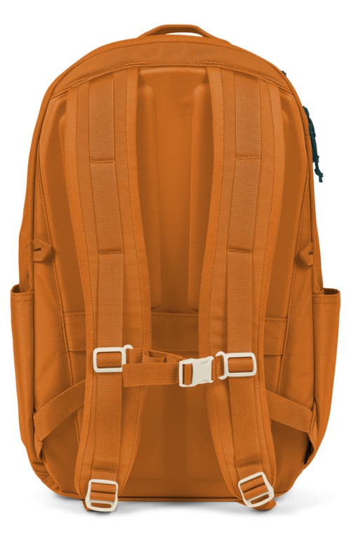 Baboon To The Moon City Water Repellent Backpack In Brown