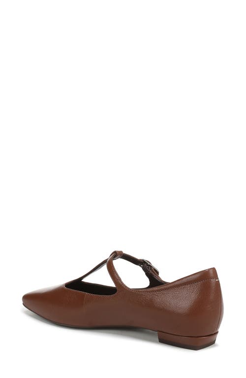 27 Edit Naturalizer Bella T-strap Flat In Brown