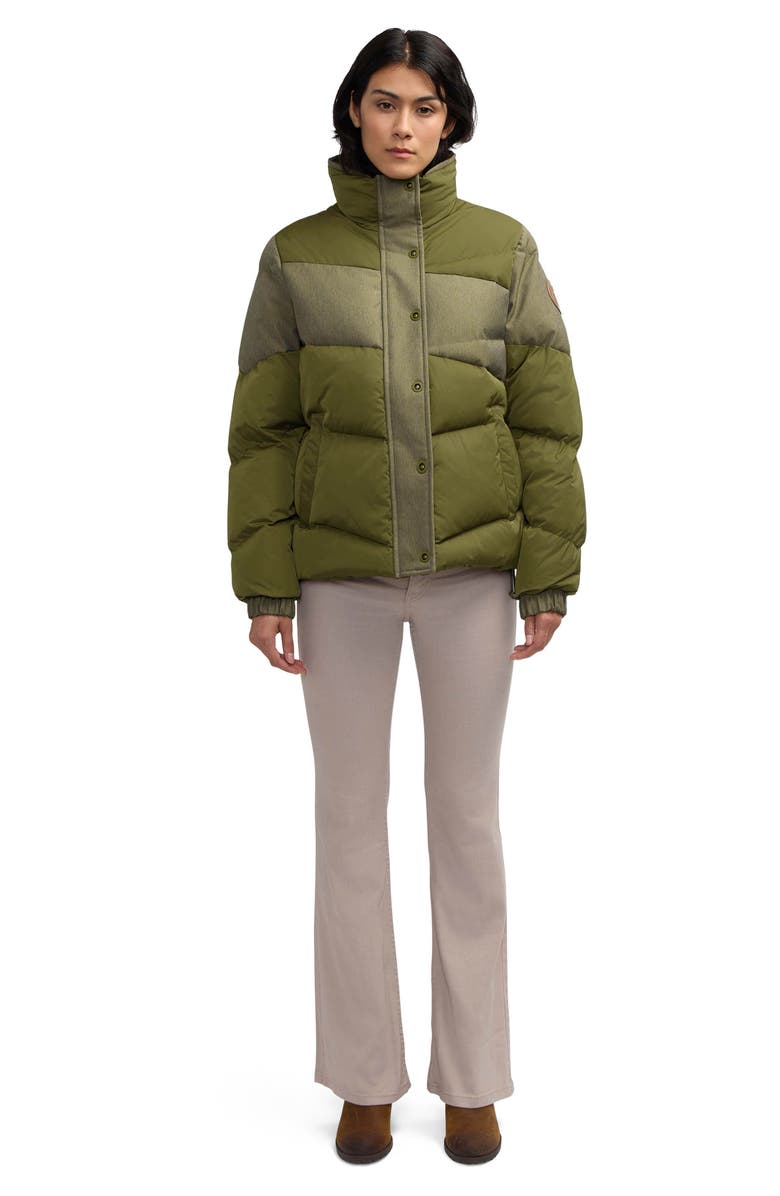 Scotch & Soda Skyla Boxy Denim Puffer Jacket, Alternate, color, Moss