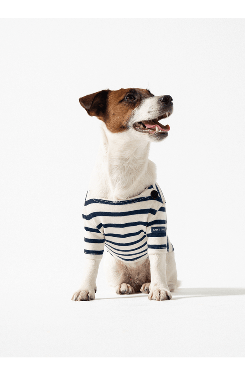 Saint James PARISIAN PUP - Authentic Breton Shirt for Dog, Main, color, Ecru/Navy