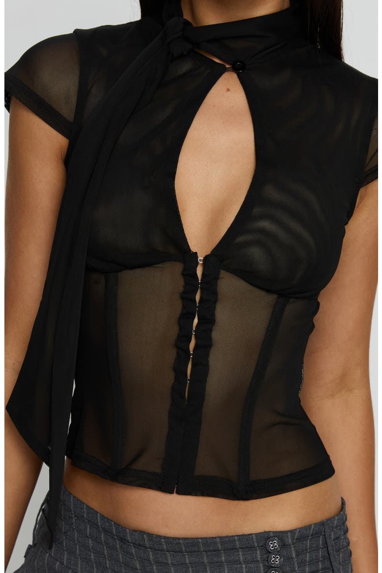 Anistasia Mesh Corset Top, Alternate, color, BLACK