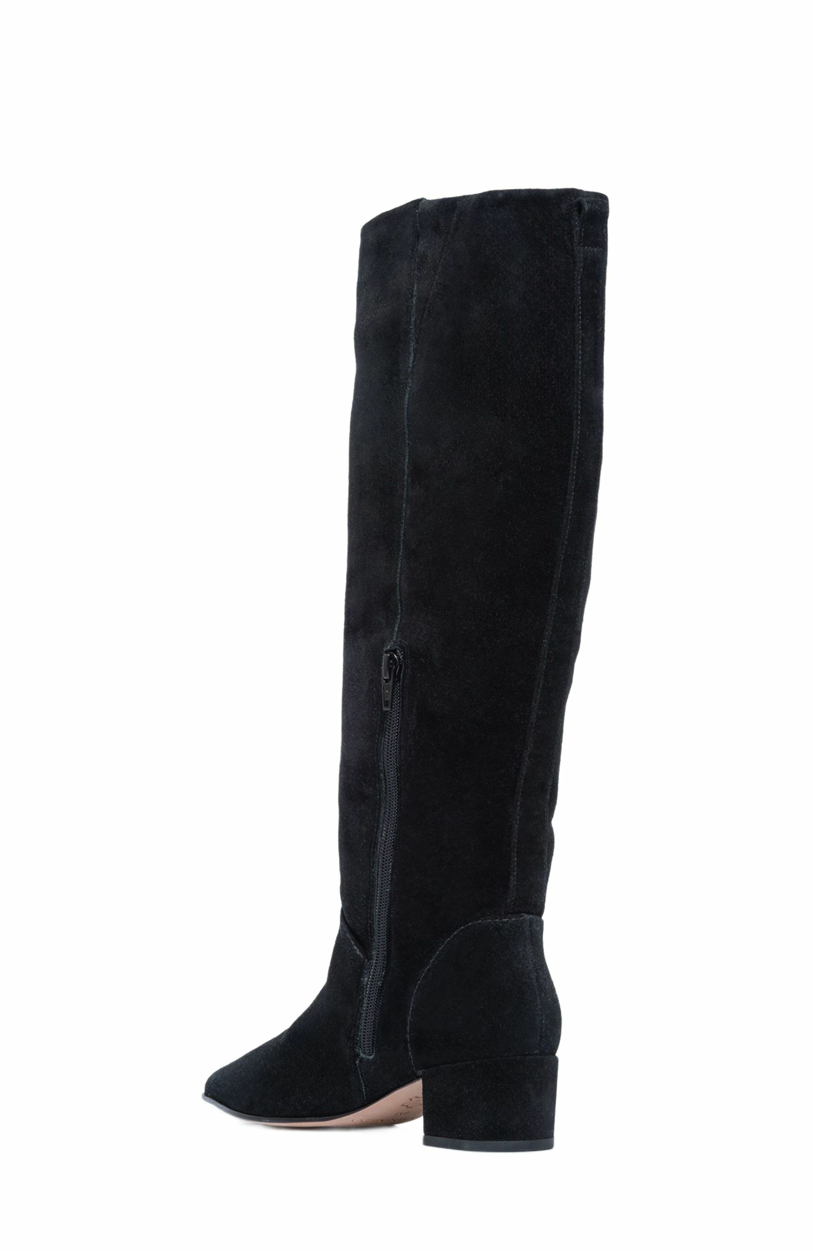 Bernardo Footwear Milano Knee-High Pointed Toe Boot, Alternate, color, 