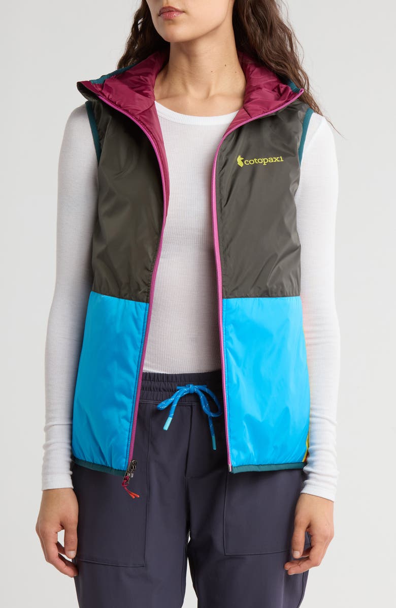 Cotopaxi Teca Calido Hooded Vest, Main, color, 