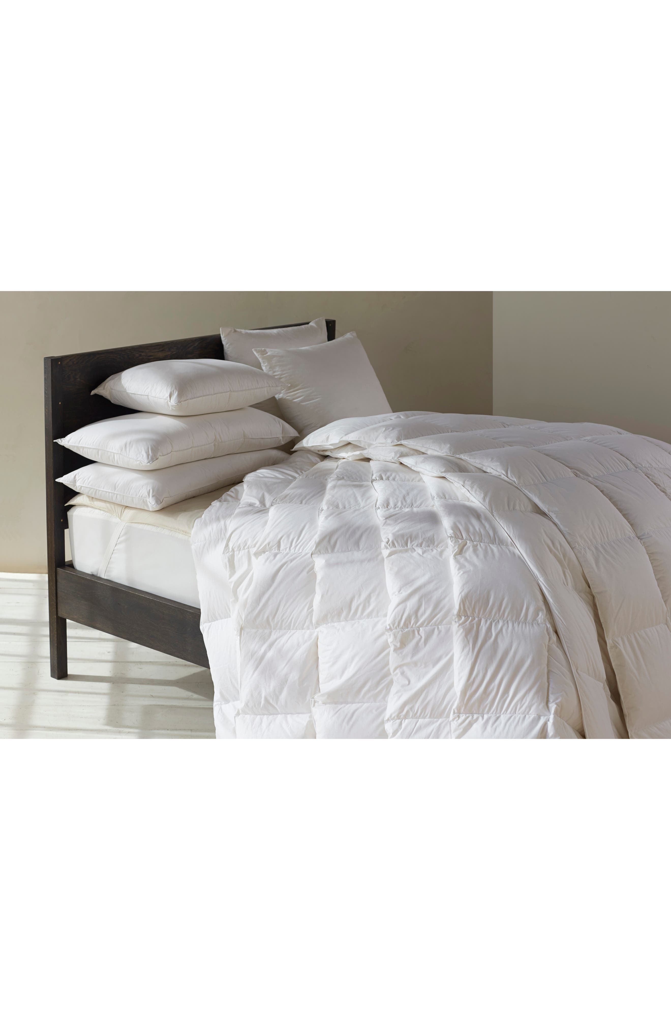 Coyuchi Lumbar Pillow Insert - Thumbnail 2
