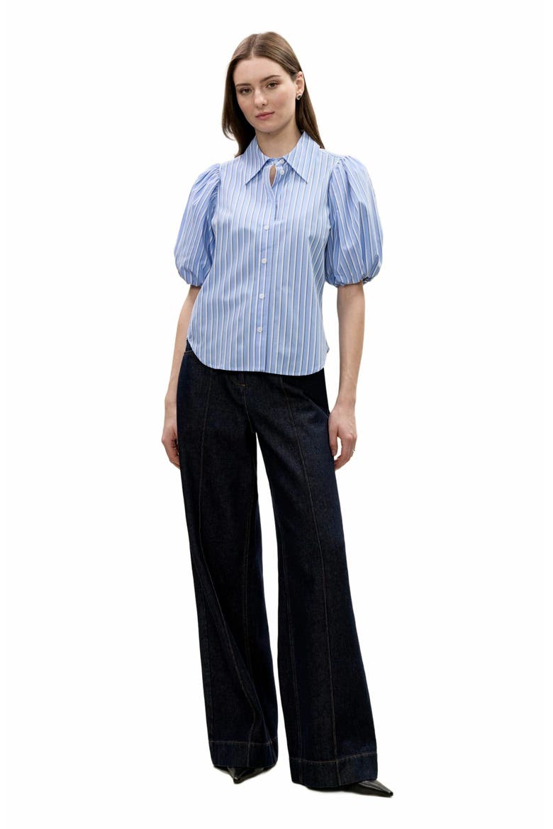Priya Poplin Blouse, Main, color, BLUE STRIPE COMBO