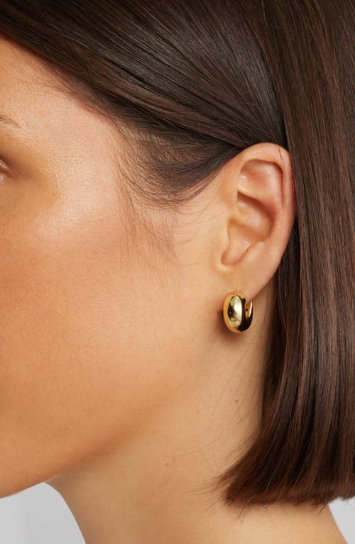 Jenny Bird Mini Tome Huggie Hoop Earrings In Gold