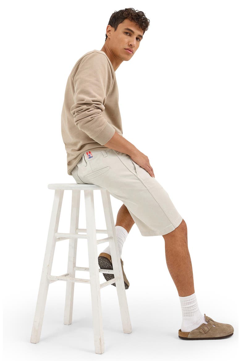 Casey Jones Stretch Cotton Shorts, Alternate, color, PELICAN