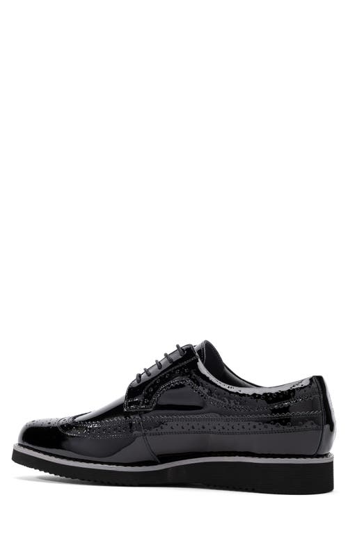 Marc Nolan Alexander Wingtip Derby