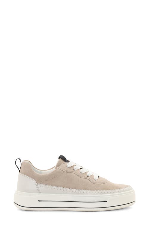 Ara Corsica Platform Sneaker In Cream/shell