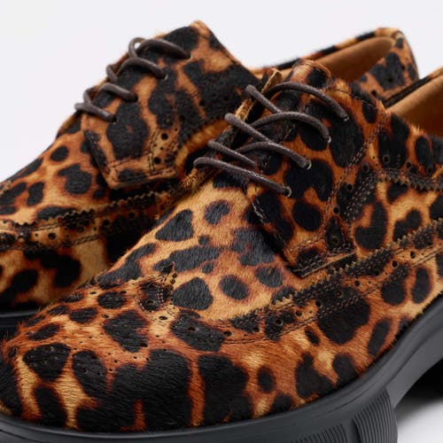 Marc Nolan Ms. Alexander Leather Lug Wingtip Derby In Animal Print