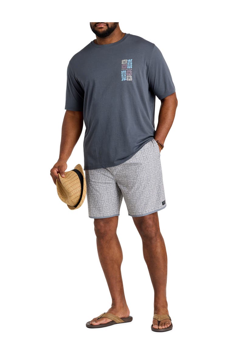 Big & Tall Cabana T-Shirt, Alternate, color, EBONY