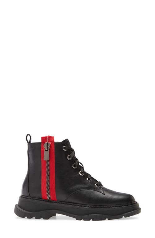 Linea Paolo Bolton High Top Sneaker In Black