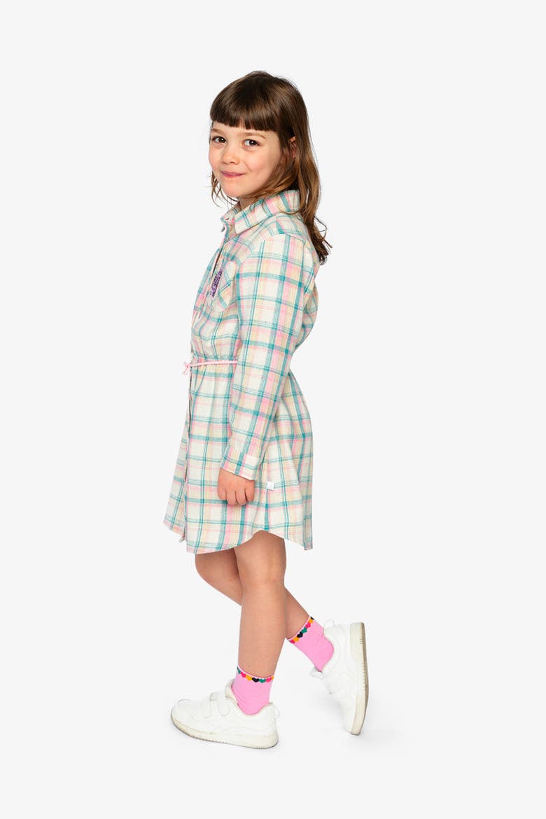 Classic Preppy Belted Long Sleeve Shirt Dress, Alternate, color, Plaid Green and Pink