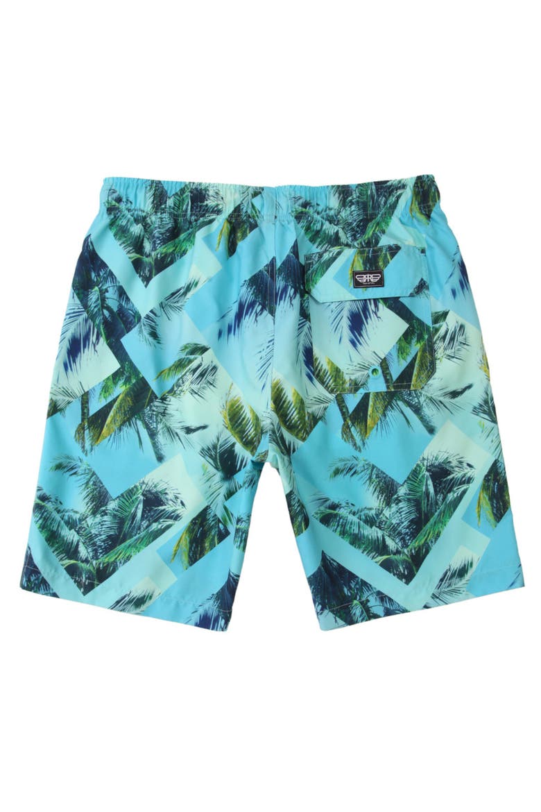 All-Day Comfort Mesh-Lined Swim Trunks, Alternate, color, Geometry palm