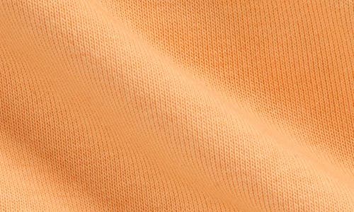 Polo Ralph Lauren Ralph Lauren French Terry Zip Hoodie & Joggers Set In Soft Creamsicle