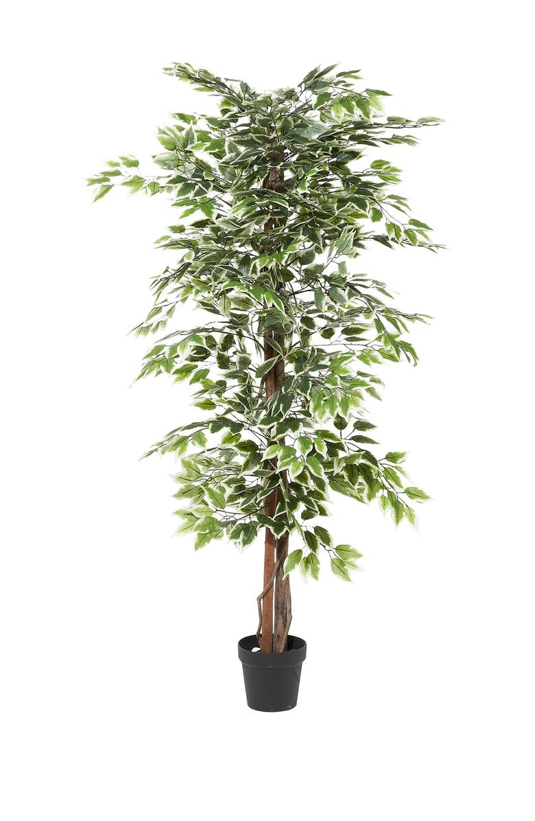 GINGER BIRCH STUDIO FICUS TREE ARTIFICIAL DECORATI, Main, color,