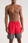 Nike 9-Inch Volley Shorts