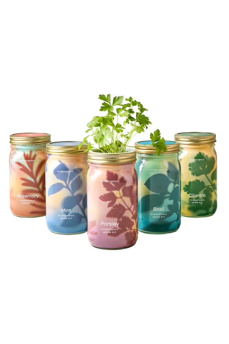 Garden Jar 5pk, Main, color, Assorted
