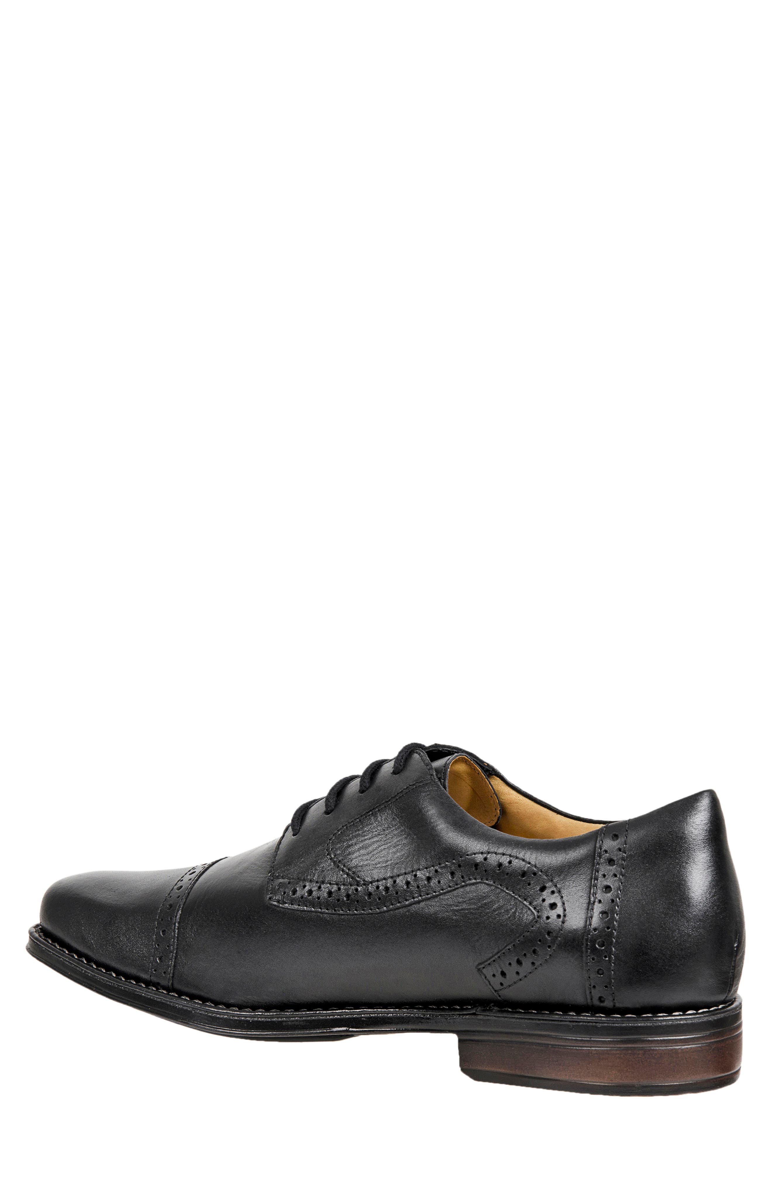Sandro Moscoloni 'Bruce' Oxford, Alternate, color, 