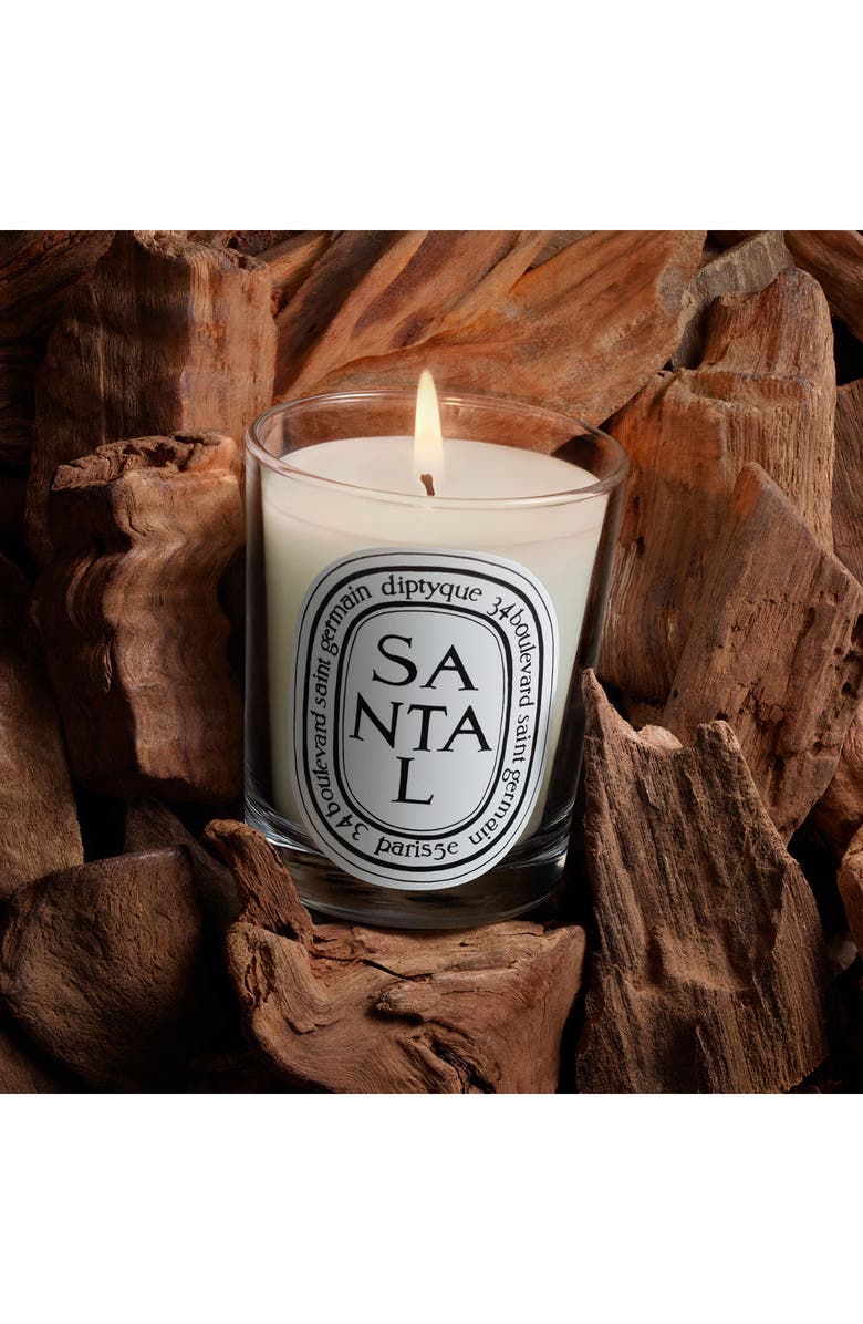 Diptyque Santal (Sandalwood) Scented Candle, Alternate, color, 