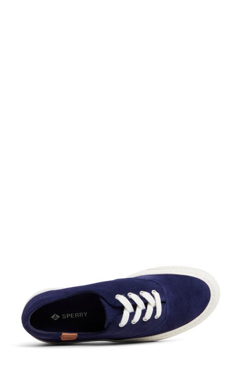 Sperry Candy Cvo Platform Sneaker In Blue