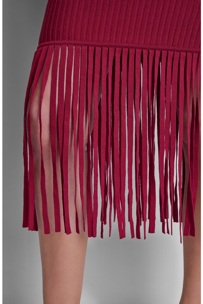 Fringe Sleeveless Sweater Dress, Alternate, color, RHYTHM RED