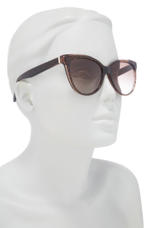 Kate Spade New York 56mm Daesha Cat Eye Sunglasses In Brown