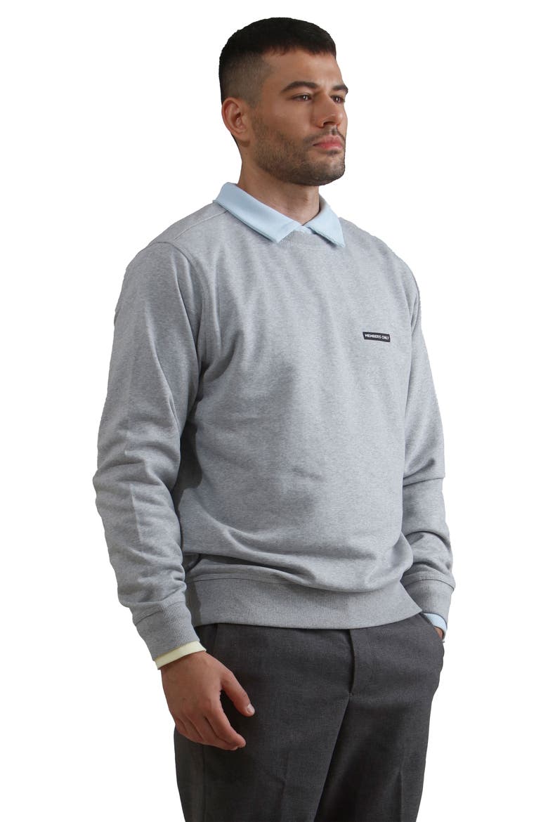 Preston Crew Neck Sweatshirt, Alternate, color, Grey