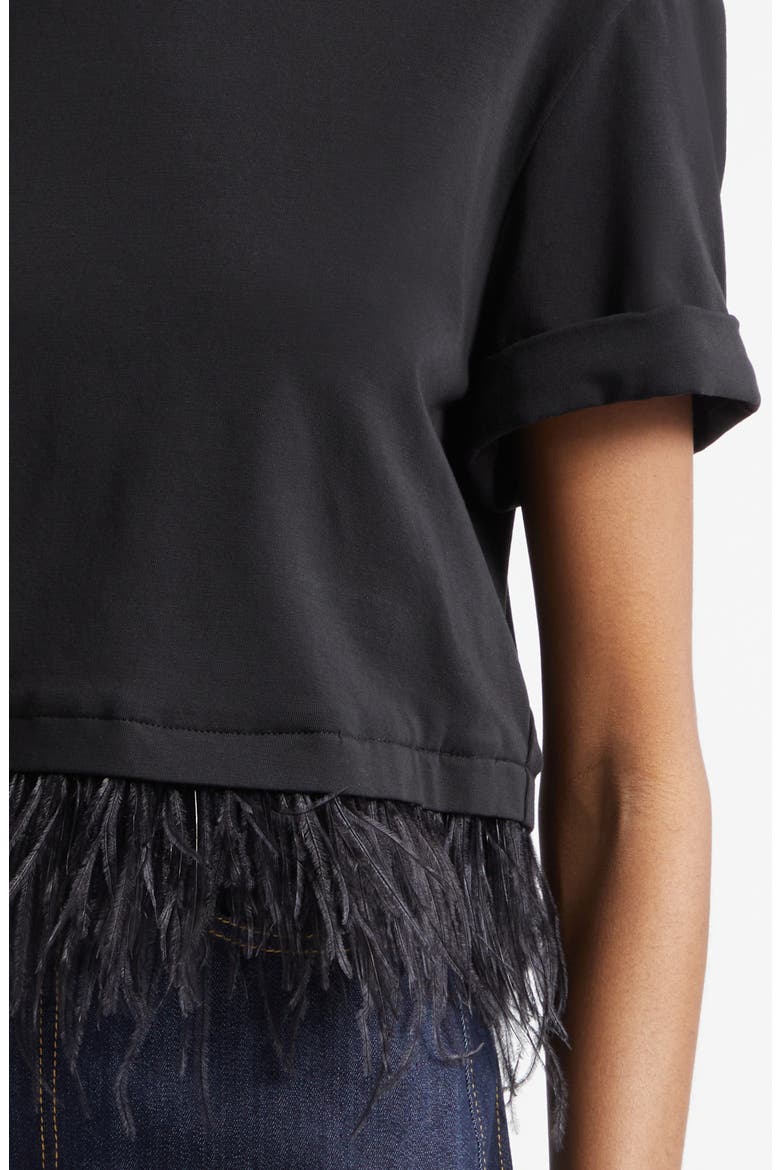 Feather Trim Crop T-Shirt, Alternate, color, BLACK