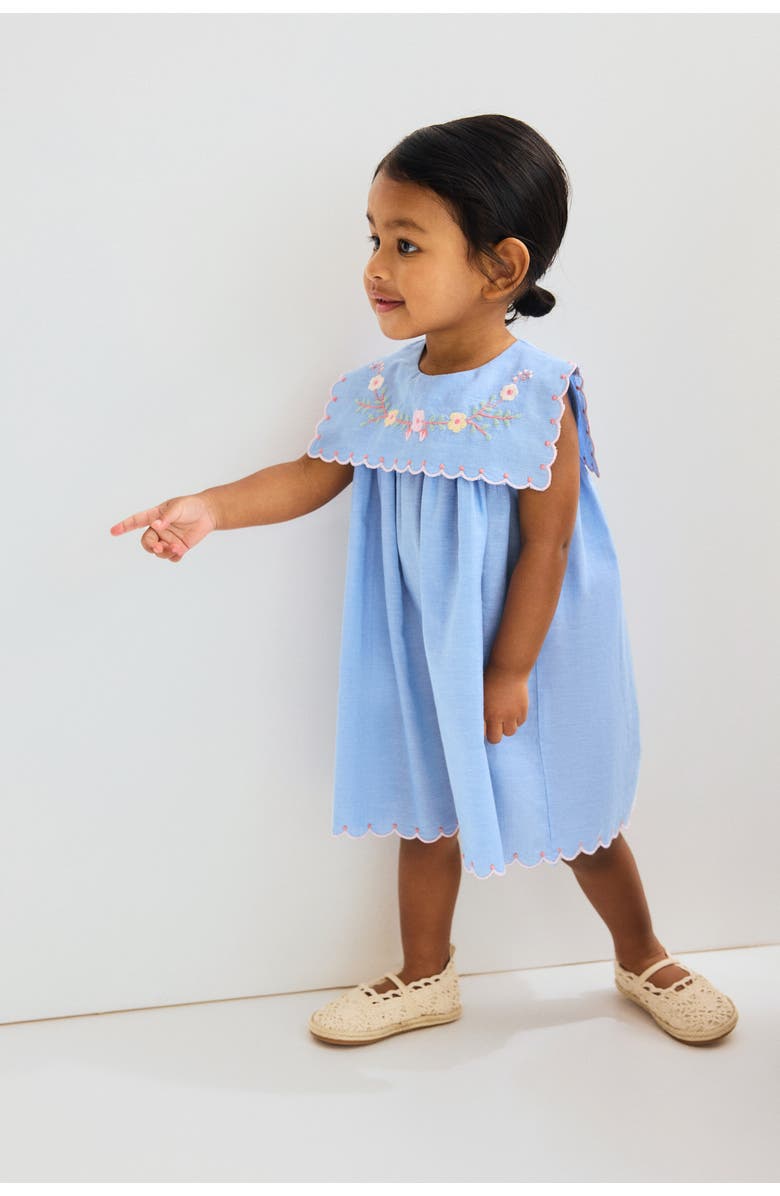 H&M Embroidered Cotton Dress, Alternate, color, Denim Blue/Flowers