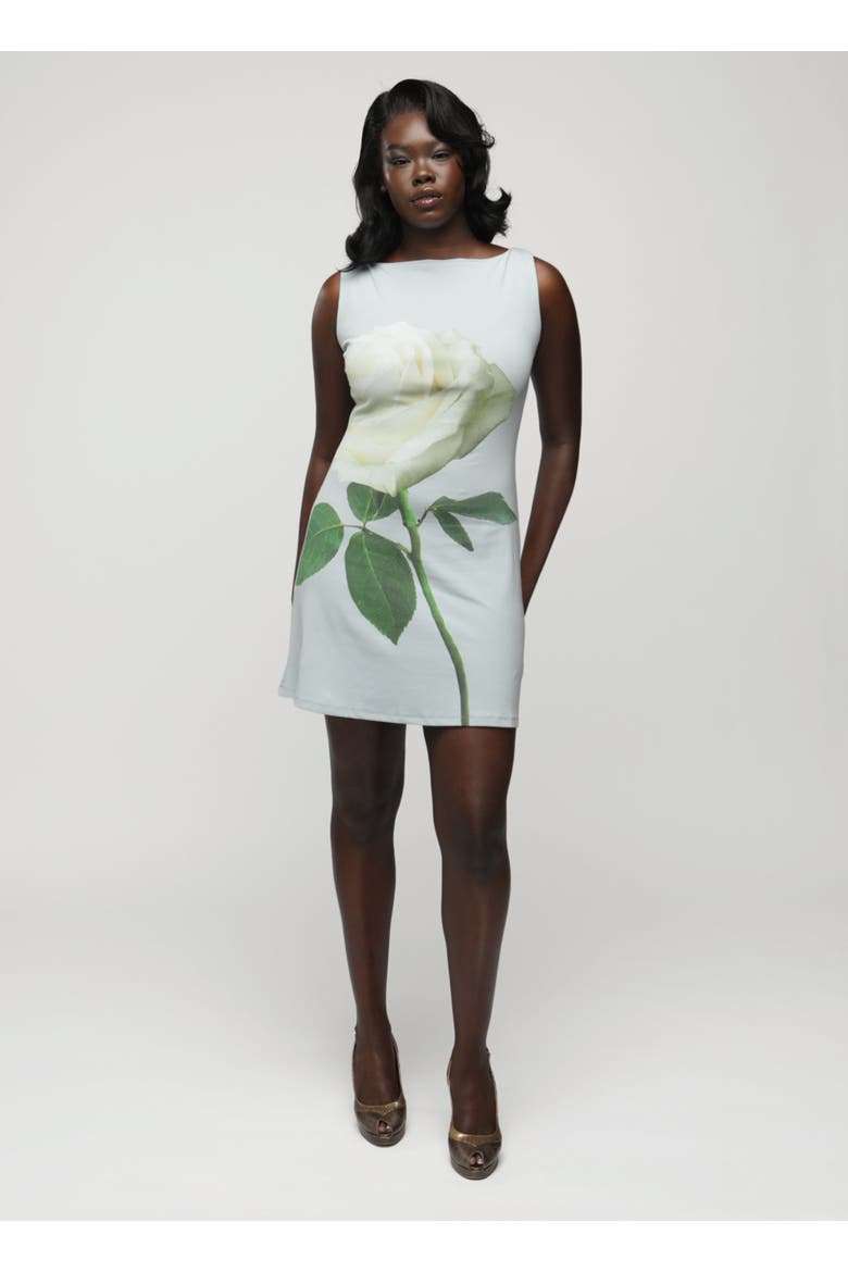 Dottie Dress, Alternate, color, Vintage Rose