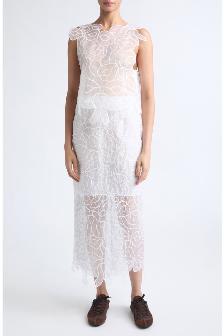 Aya Embroidered Crop Organza Top, Alternate, color, WHITE
