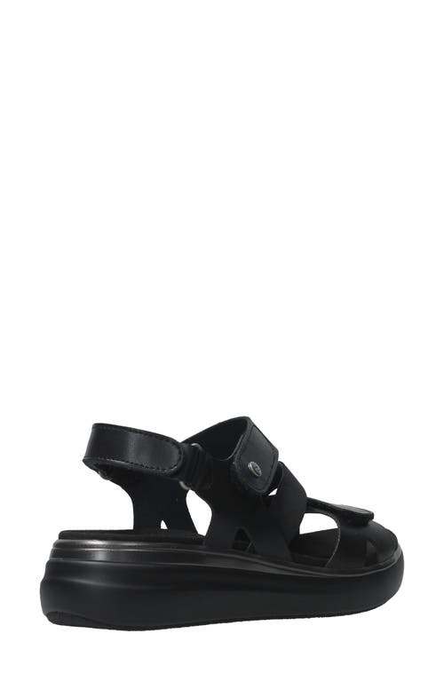 Wolky Amara Sandal In Black