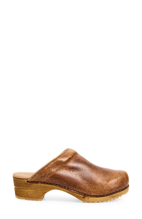 Sanita Melissa Clog In Brown