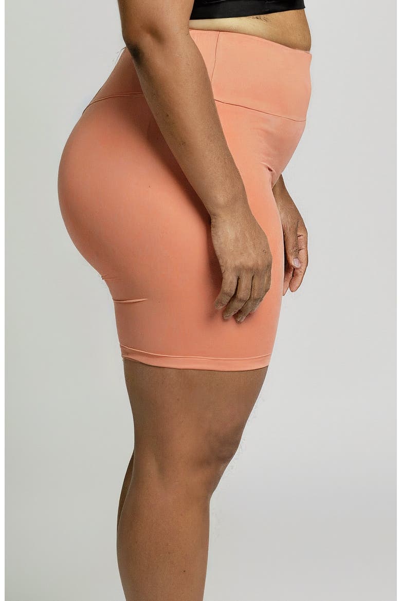 Plus Size Mid-Thigh Swim Shorts, Alternate, color, Rust