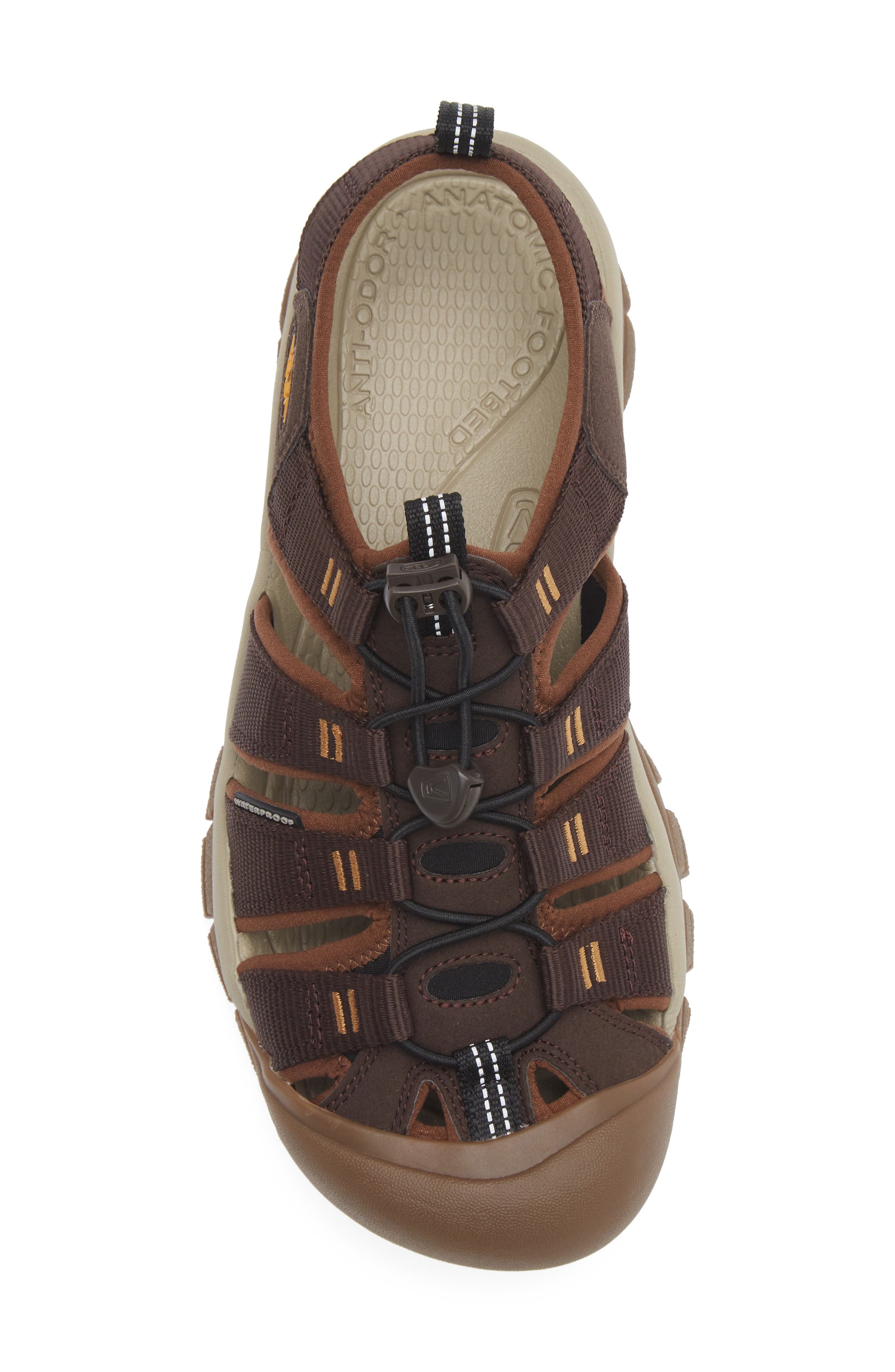 KEEN Newport H2 Sandal, Alternate, color, Java/ Golden Yellow