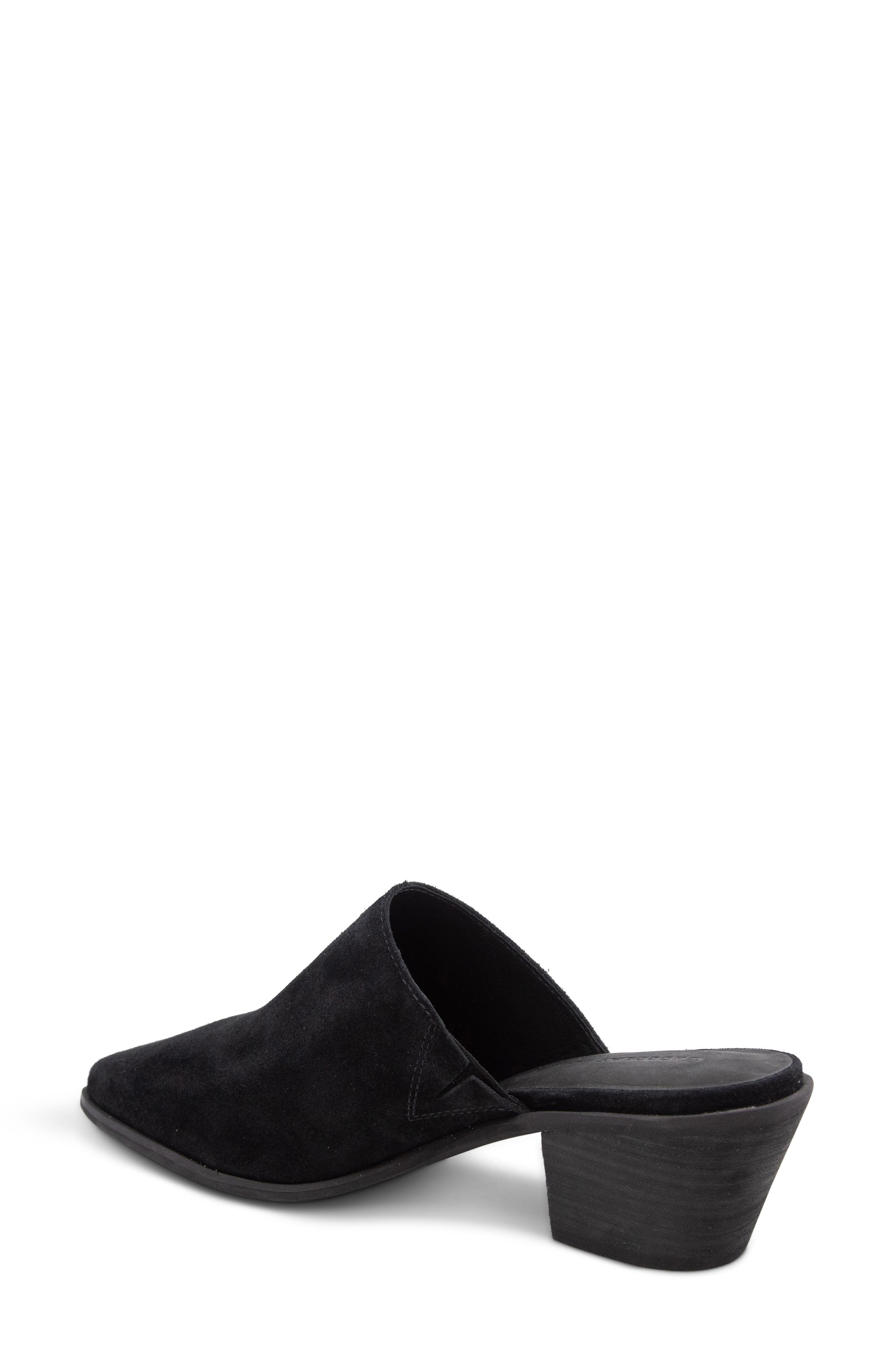 Chocolat Blu Cellia Pointed Toe Mule, Alternate, color, Black Suede