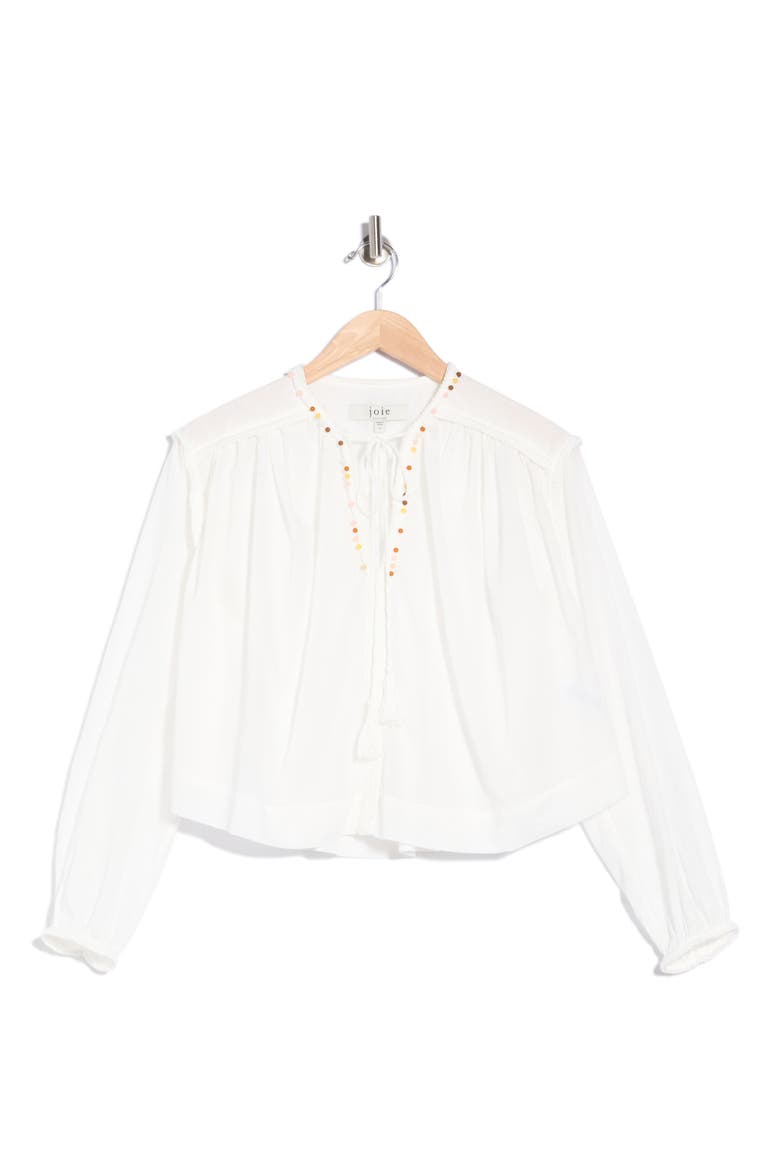 Long Sleeve Embroidered Top, Alternate, color, WHITE