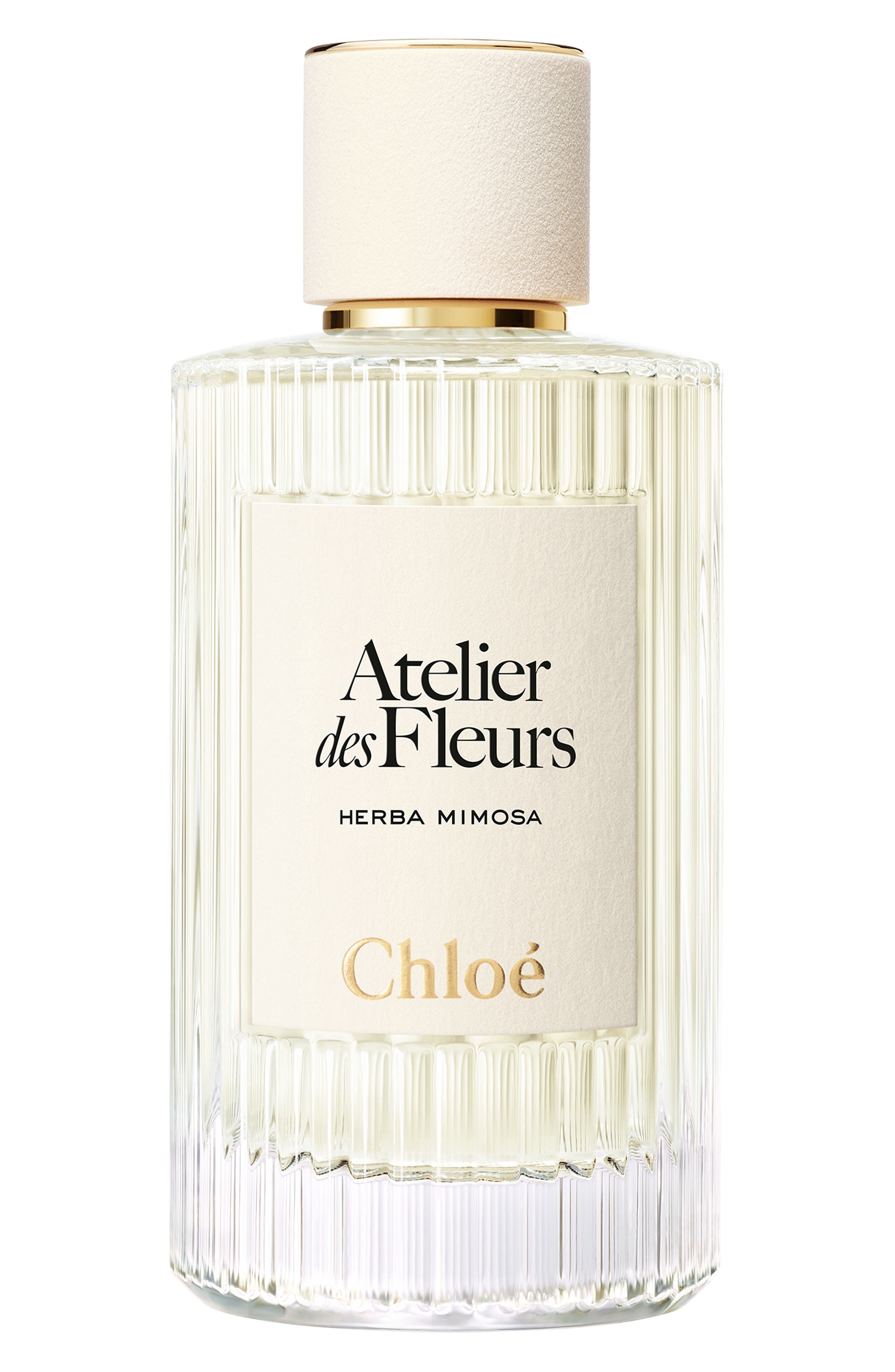 Chloé Atelier des Fleurs - Vert Soleil Eau de Parfum | Nordstrom