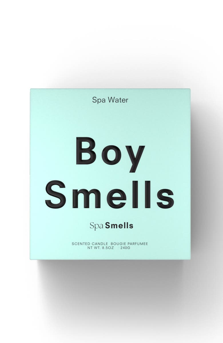 Boy Smells Spa Water Candle, Alternate, color, 