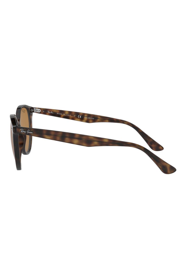 Phantos 53mm Round Sunglasses, Alternate, color, HAVANA/ BROWN SOLID