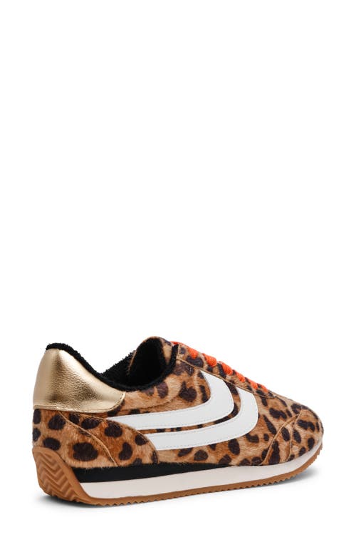 Dolce Vita Dv By Hype Faux Shearling Lined Sneaker In Animal Print